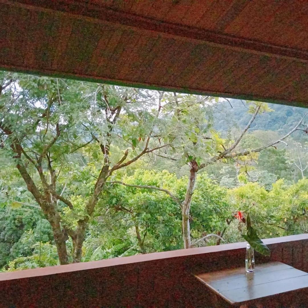 Casa Miramar Villa Uvita Eksteriør billede