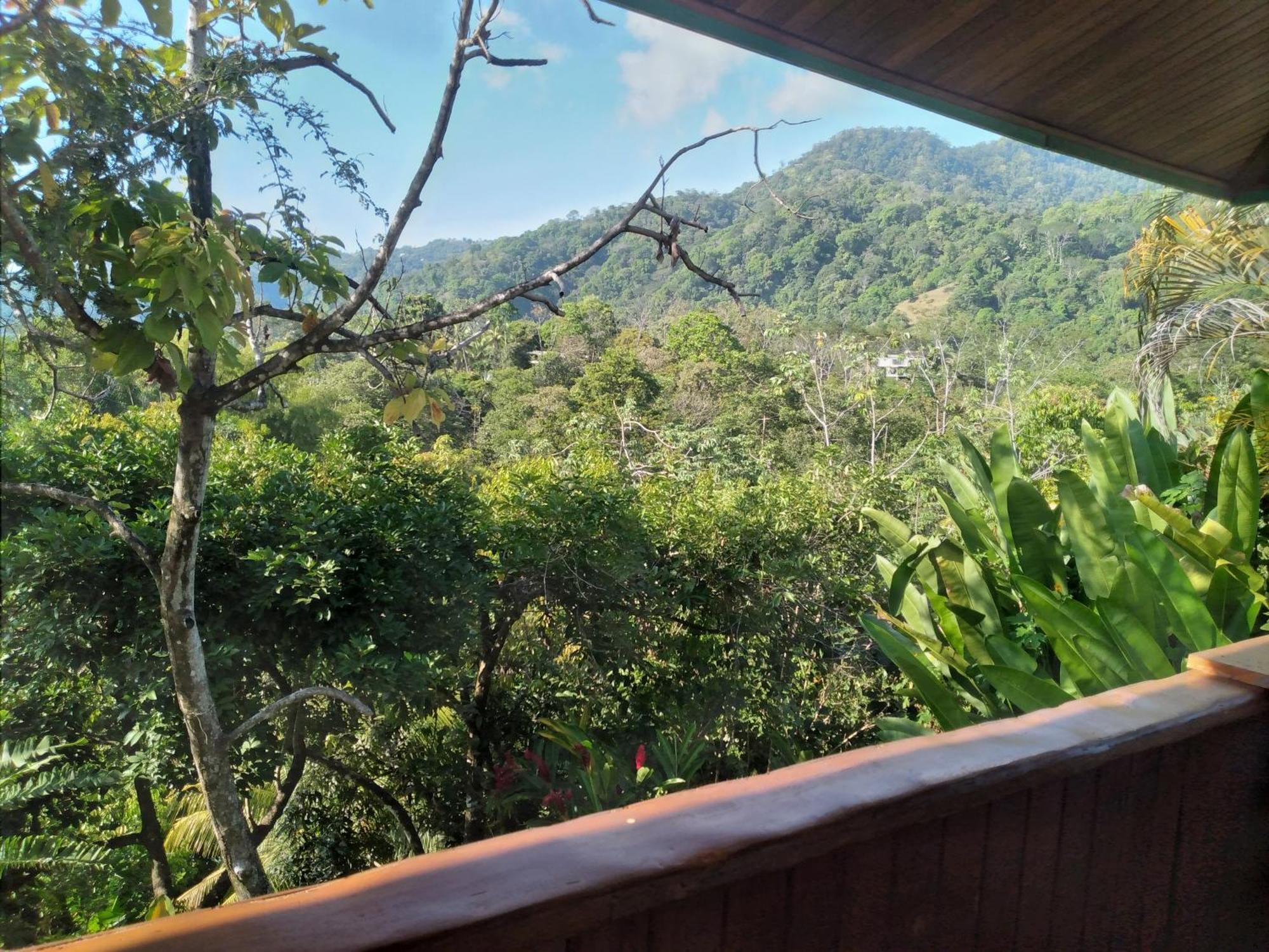 Casa Miramar Villa Uvita Værelse billede